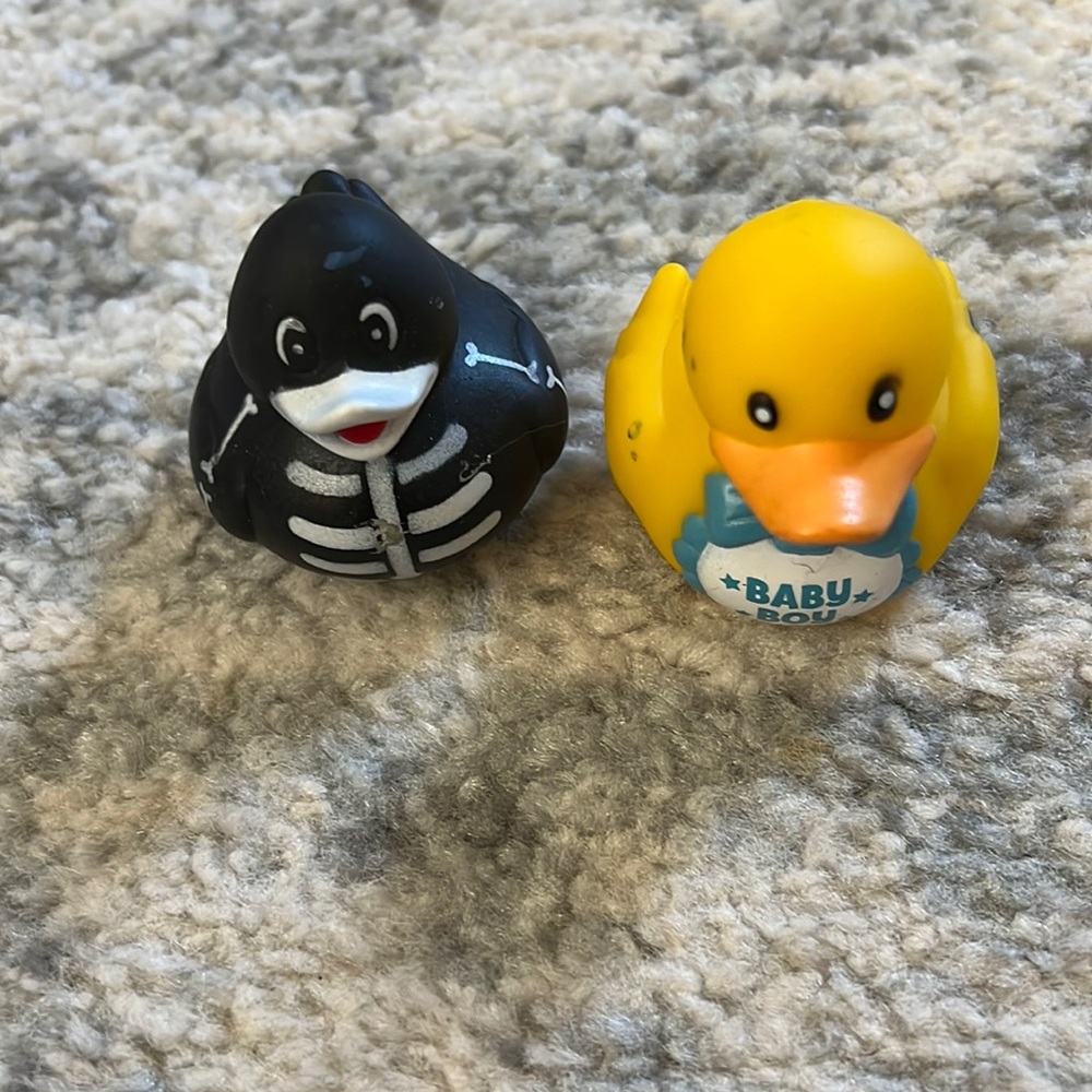 Ducks